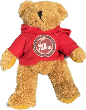 Big Hearts Teddy